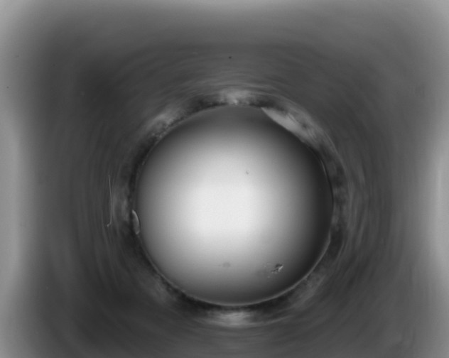 X0000086250313200704051246