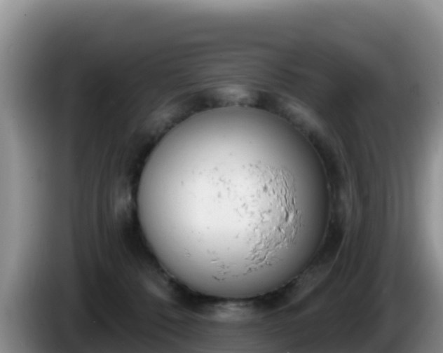 X0000086250320200704051246