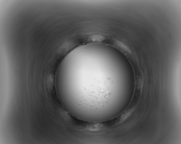 X0000086250321200704051246