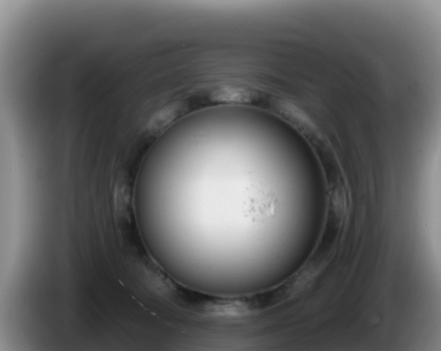 X0000086250322200704051246