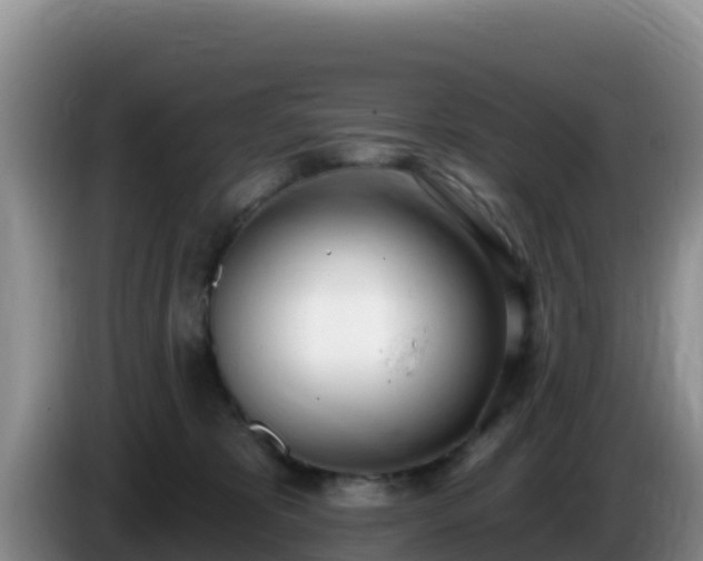 X0000086250325200704051246