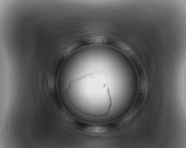 X0000086250326200704051246
