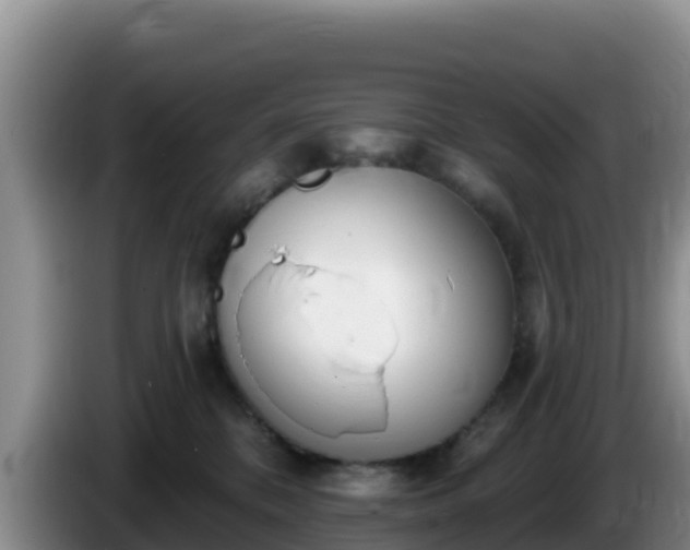 X0000086250328200704051246