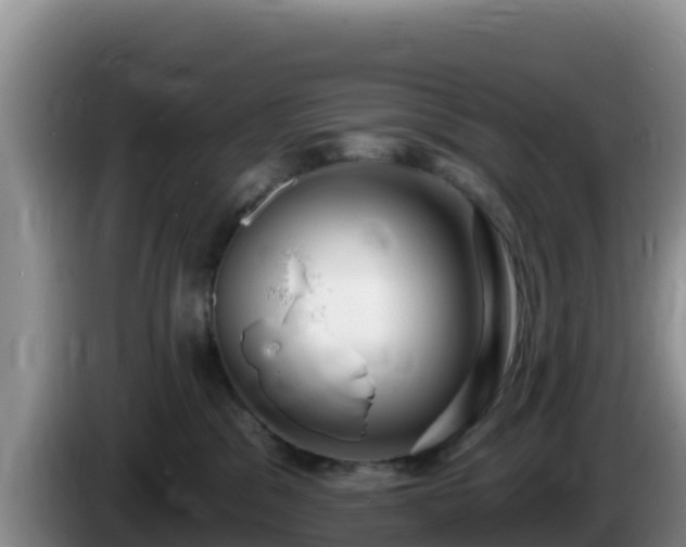 X0000086250329200704051246