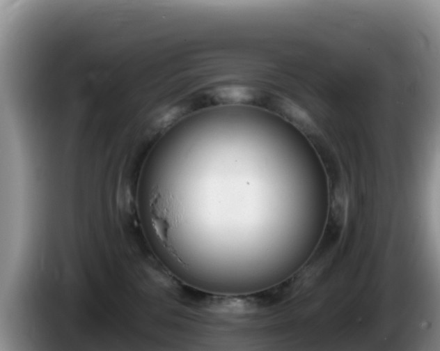 X0000086250330200704051246