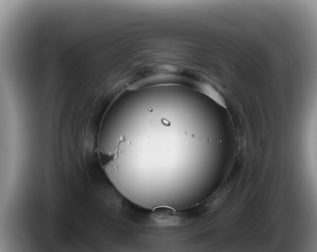 X0000086250331200704051246
