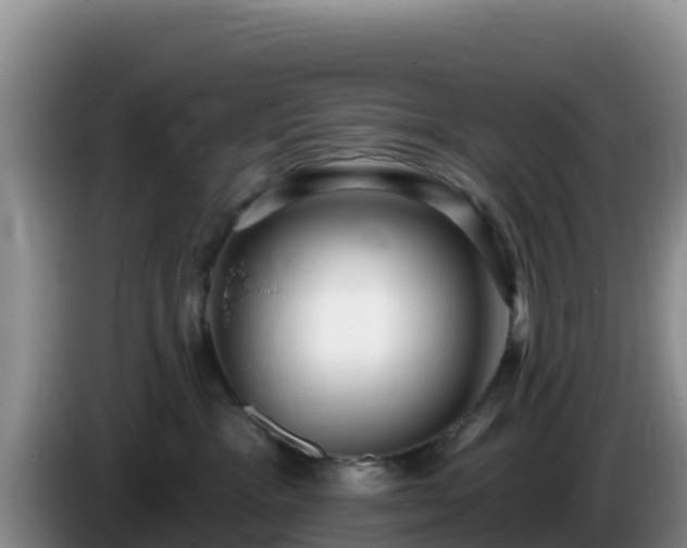 X0000086250333200704051246