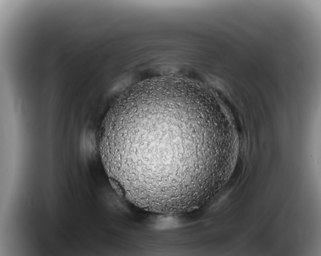 X0000086250335200704051246