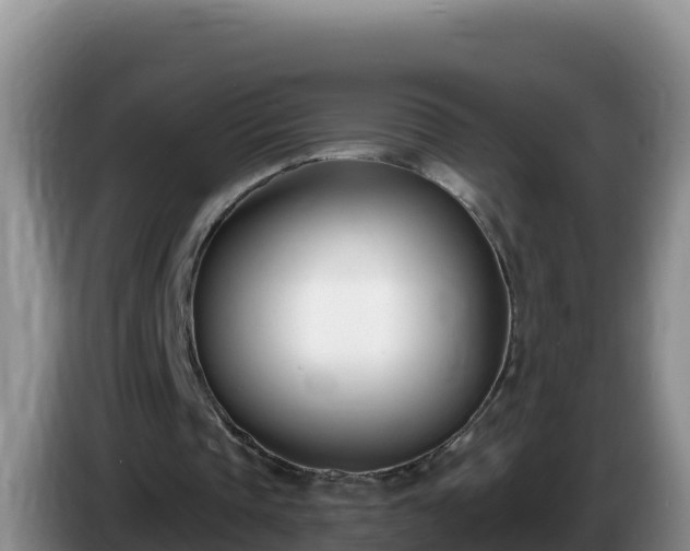 X0000086250337200704051245