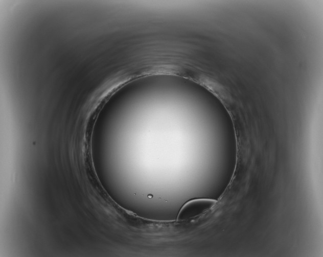 X0000086250338200704051245