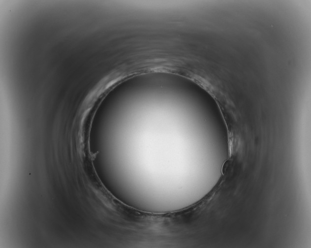 X0000086250339200704051245