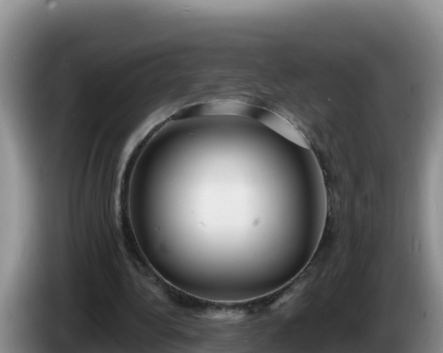 X0000086250340200704051245