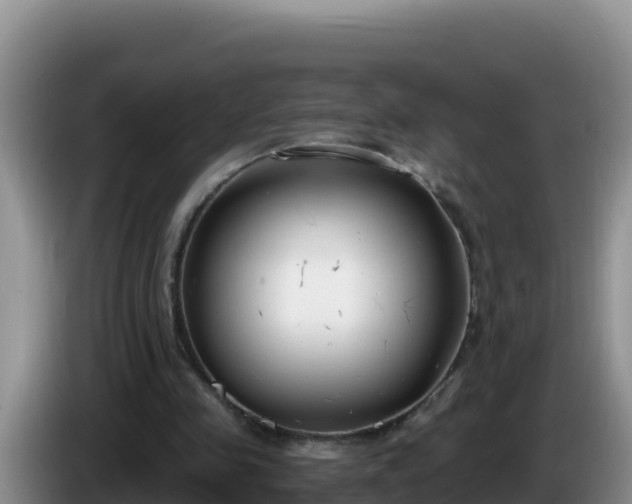 X0000086250341200704051245
