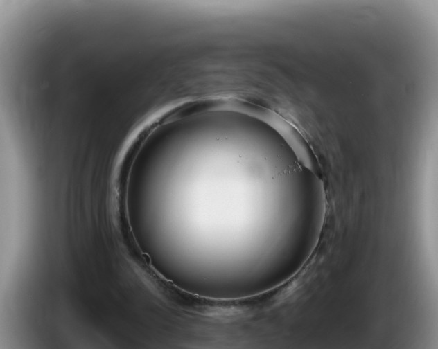 X0000086250342200704051245