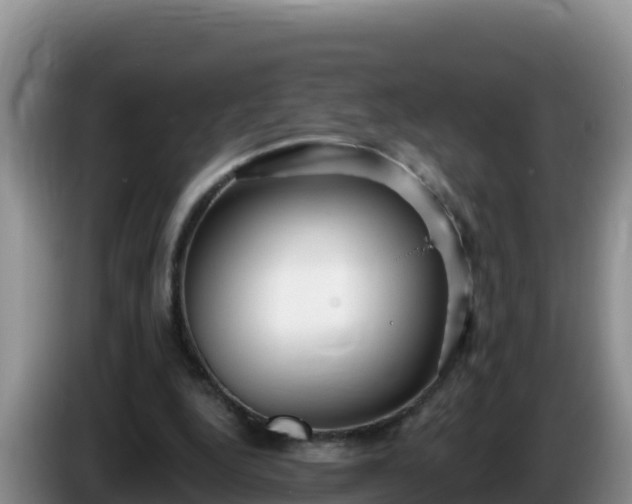 X0000086250344200704051245