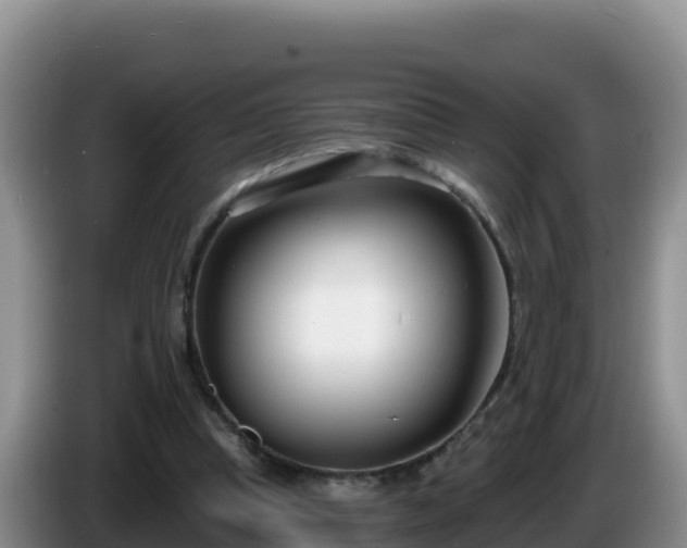 X0000086250345200704051245