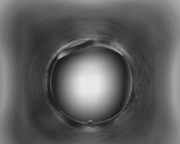 X0000086250346200704051246