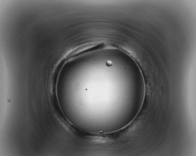 X0000086250347200704051246