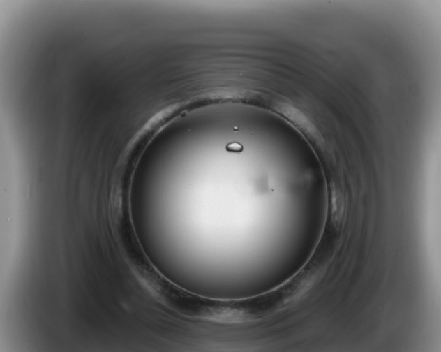 X0000086250348200704051246