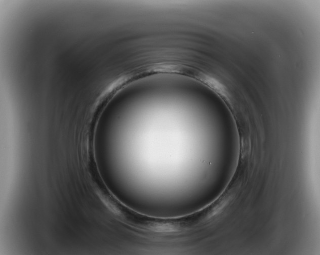 X0000086250349200704051246