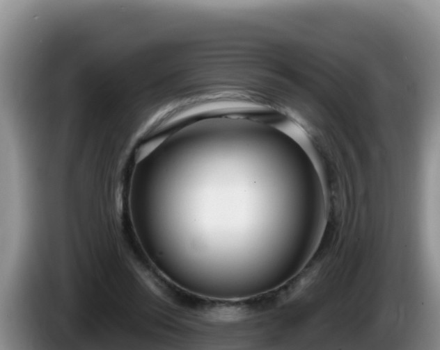 X0000086250350200704051246