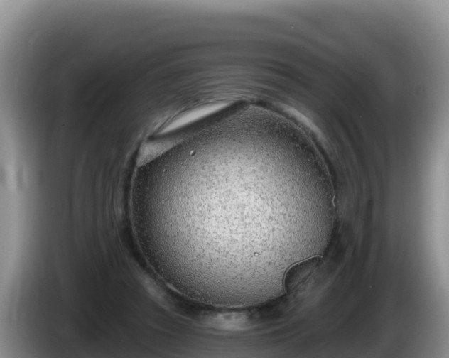 X0000086250353200704051246