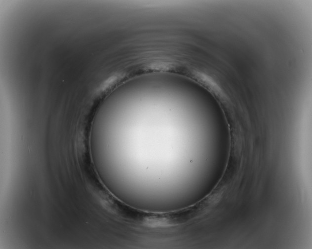 X0000086250354200704051246