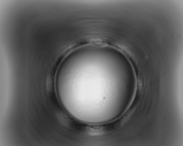 X0000086250359200704051246