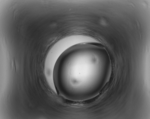 X0000086250362200704051246