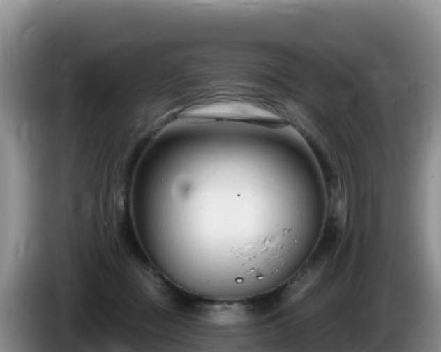 X0000086250363200704051246