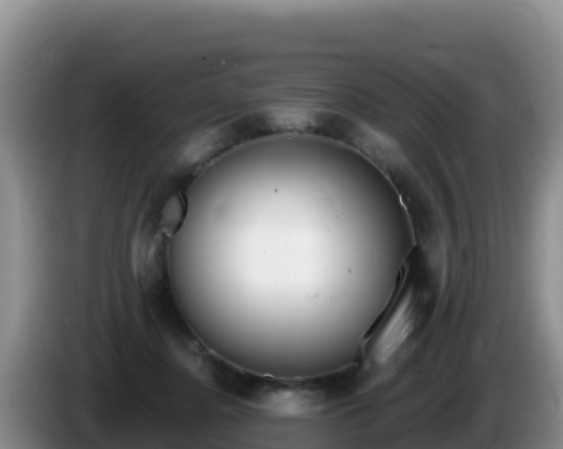 X0000086250364200704051246