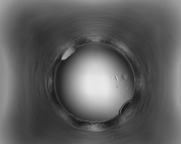 X0000086250365200704051246