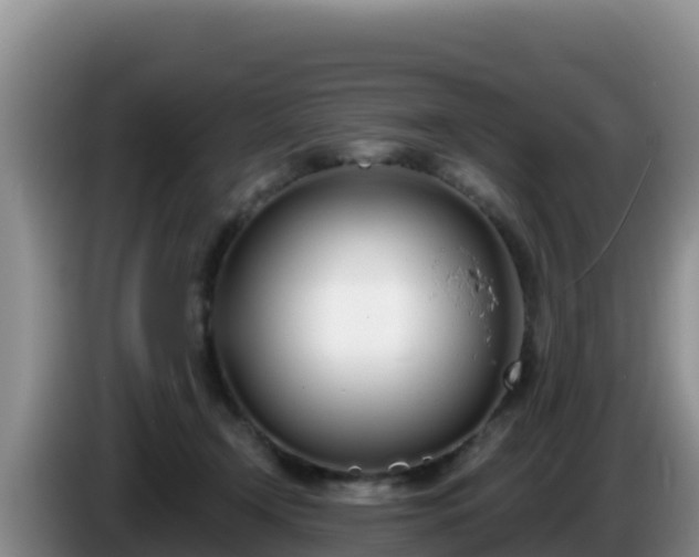 X0000086250366200704051246