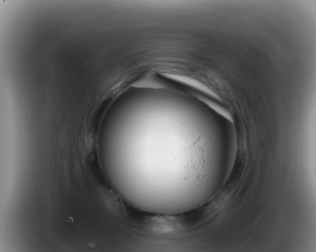 X0000086250367200704051246