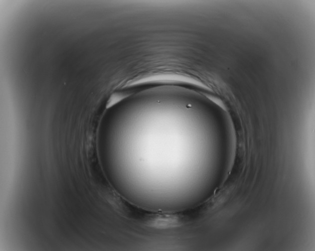 X0000086250369200704051246