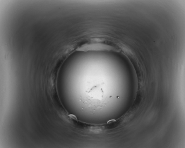 X0000086250373200704051246