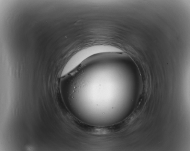 X0000086250376200704051246