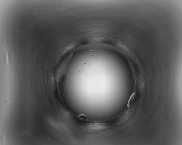 X0000086250378200704051246