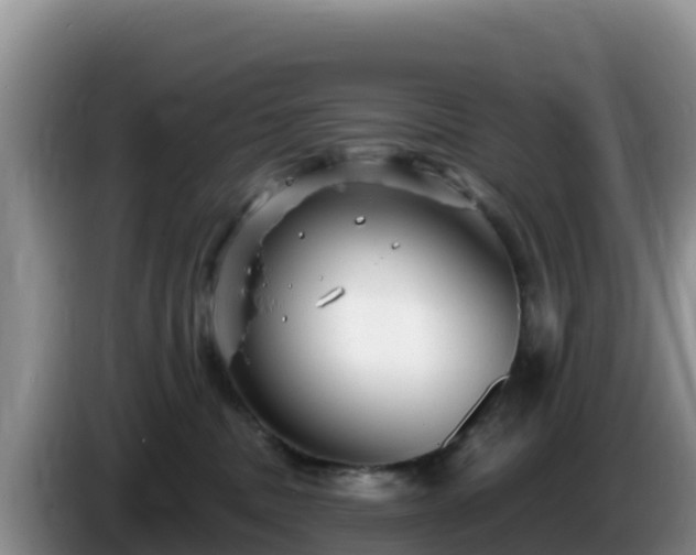 X0000086250379200704051246