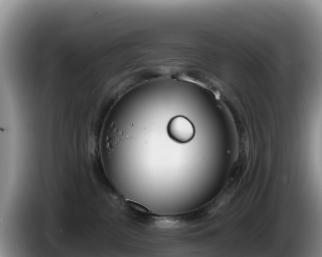 X0000086250380200704051246