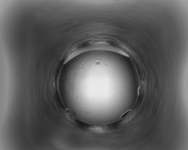 X0000086250381200704051246
