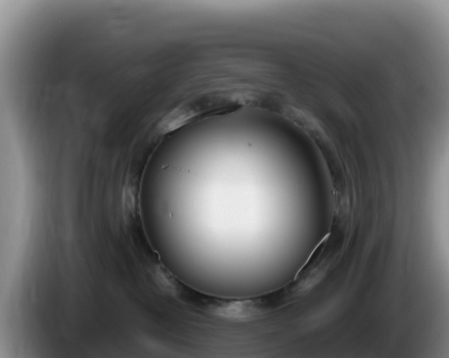 X0000086250382200704051246