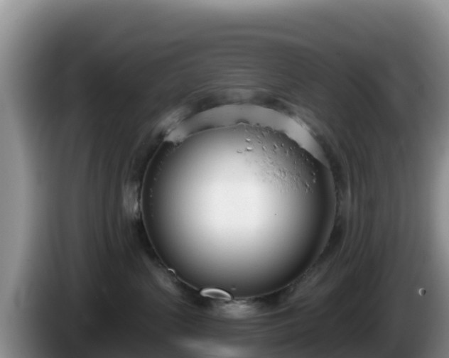 X0000086250383200704051246