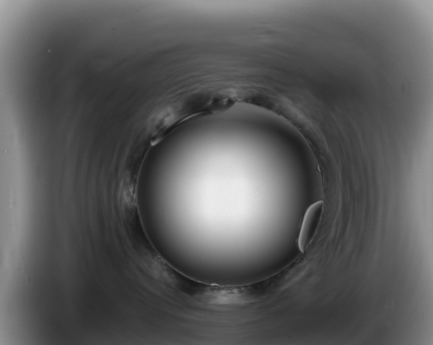 X0000086250384200704051246