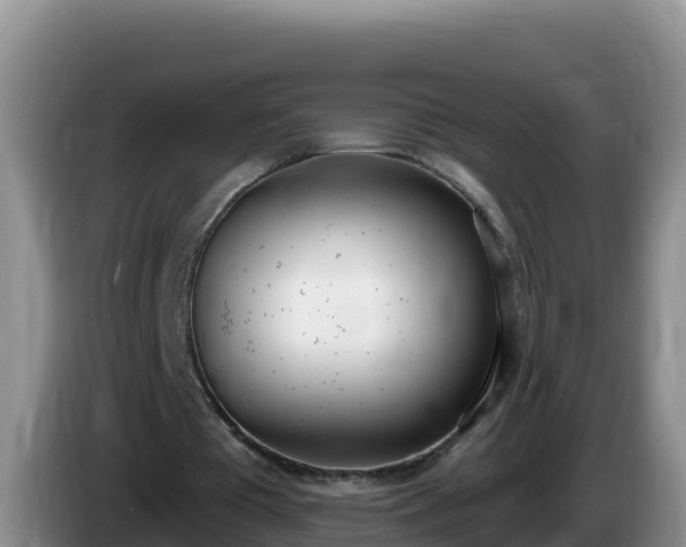 X0000086250385200704051245