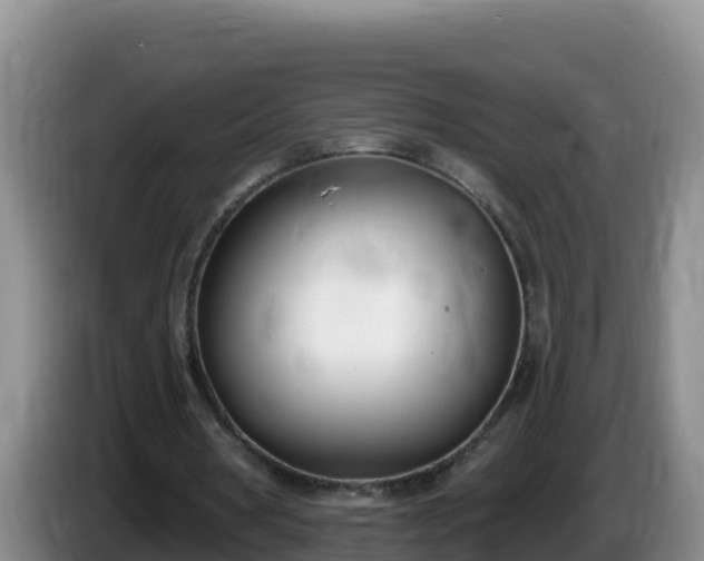 X0000086250386200704051245