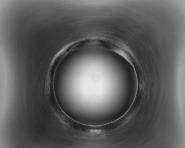 X0000086250388200704051245