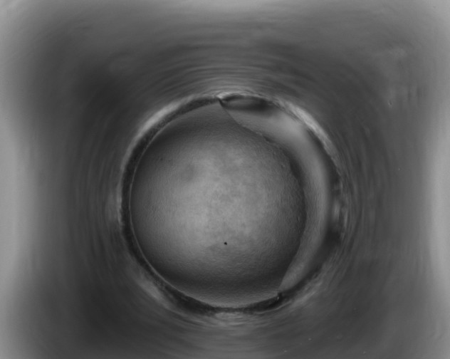 X0000086250391200704051245