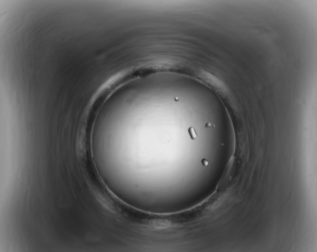X0000086250392200704051245
