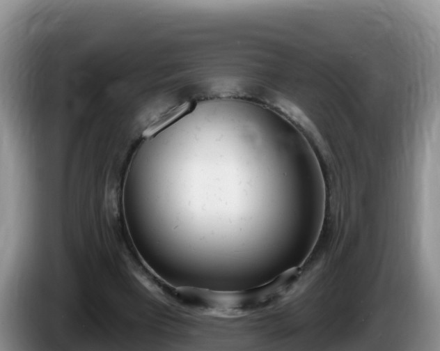X0000086250393200704051245